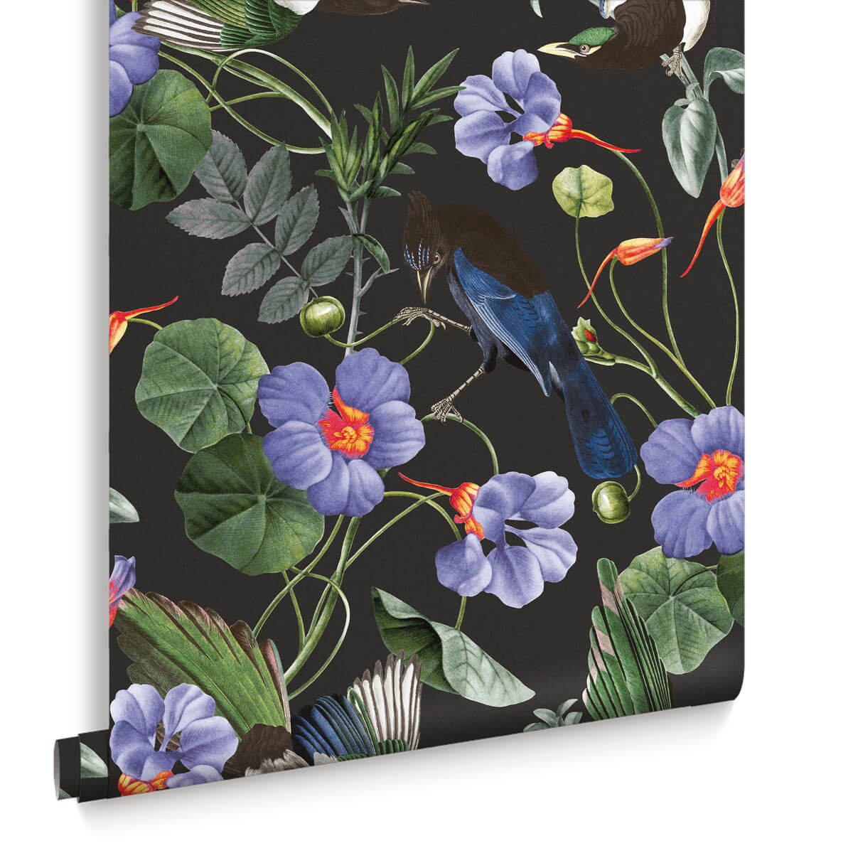 Papiers peints - Nouvelles collections 9 papiers peints albi castres maison de la peinture