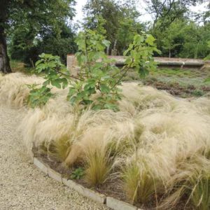 Préparer son jardin : foire aux questions