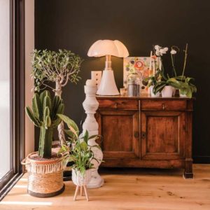 Rénovation surprise à Côte Pavée