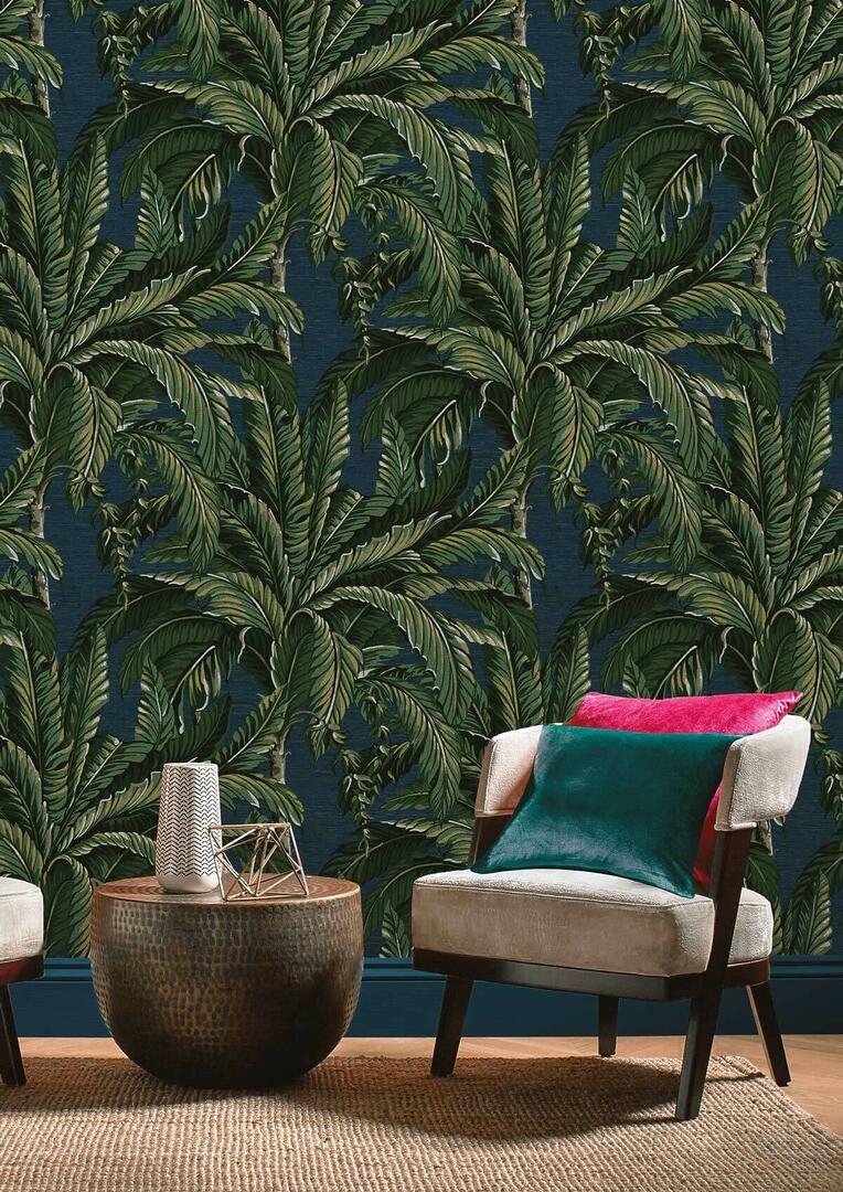 beaux papiers peints toulouse