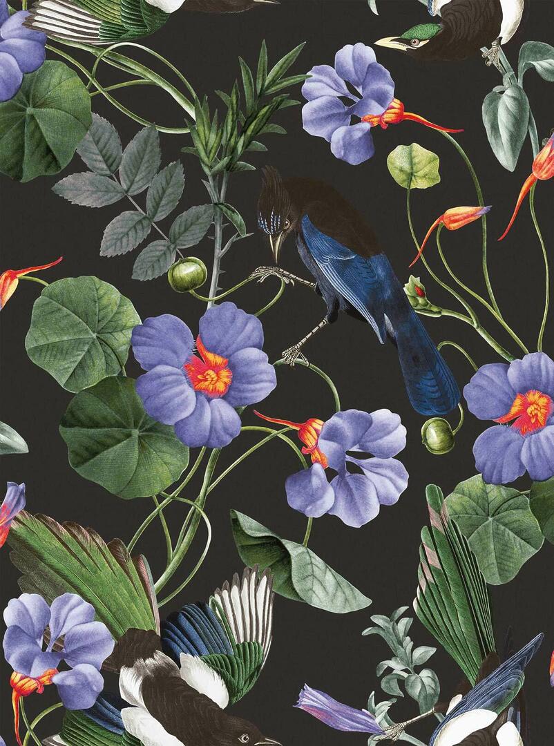 beaux papiers peints toulouse