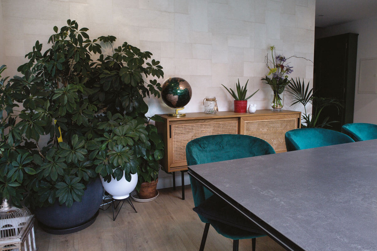 Jardin d’hiver à la Côte pavée 3 marine fosse architecte interieur maison renovee toulouse