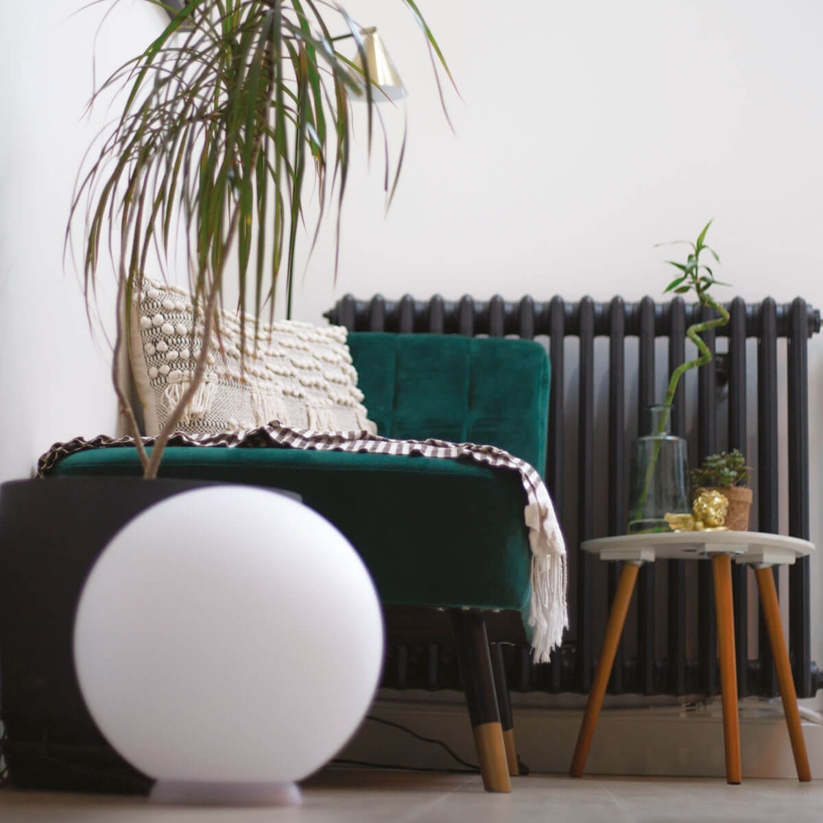 Jardin d’hiver à la Côte pavée 4 marine fosse architecte interieur maison renovee toulouse