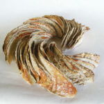 marché de giroussens artisanat tarn toulouse