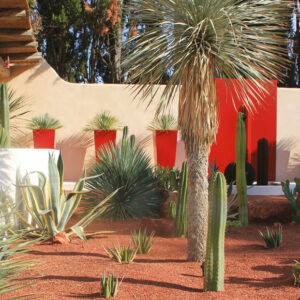 Déco minérale au jardin