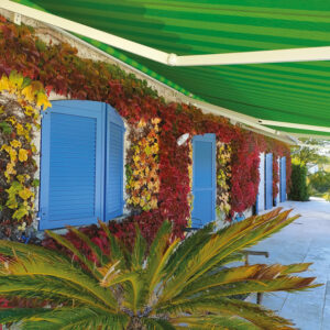 Rénovation au Séquestre au fil du temps