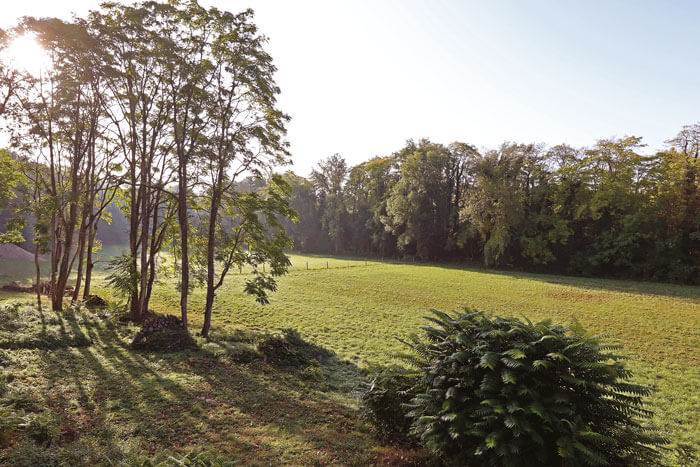 La renaissance du château du Gô 7 chateau du go albi laperouse renovation