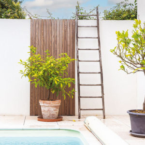 Un budget, un besoin