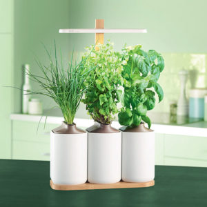 La domotique s&rsquo;invite partout