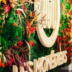 La touche verte des intérieurs