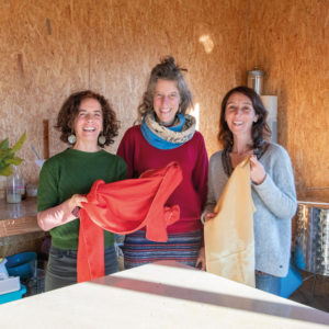 À la découverte de la teinture