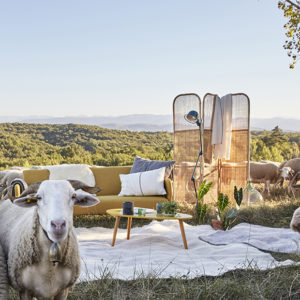 Laines Paysannes, textile écologique et local